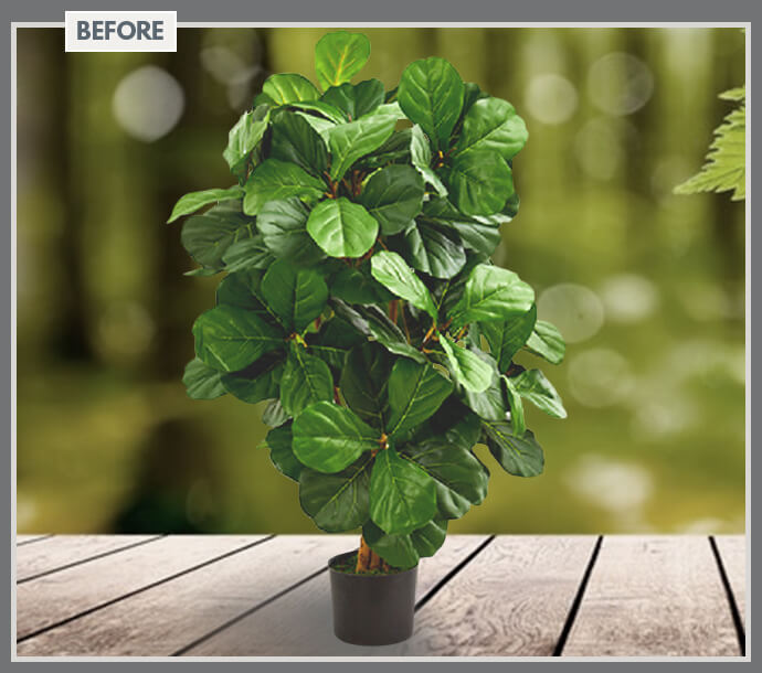 Artificial Fiddle Leaf Plants Clipping