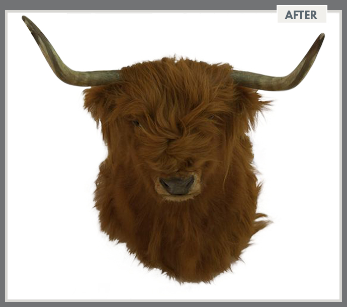 Bull Hair Masking